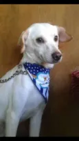 Desconhecido