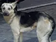 Não sei