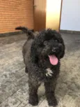 bob
