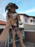  Sem nomes ainda
