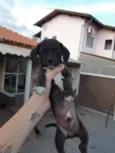 Sem nomes ainda