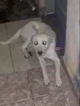 Spike