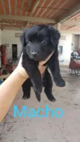 Sem nome