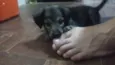Zoe
