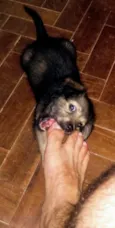 Zoe