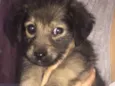 Zoe