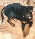 Zeus
