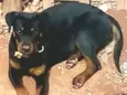 Zeus
