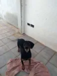 Lili