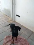 Lili