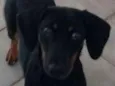 Lili