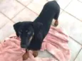 Lili