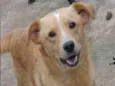Romeu Pequeno