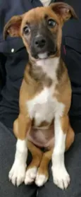 LUNA