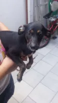 Nao tem nome
