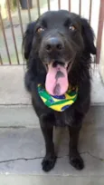 Marley