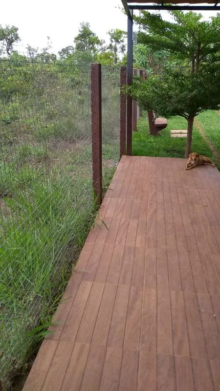 Cachorro ra a PREDOMINÂNCIA DE VIRA-LATA idade 2 a 6 meses nome SEM NOME