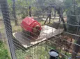 BIBI