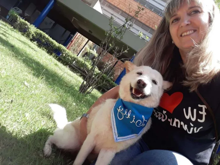 Cachorro ra a SRD idade 5 anos nome LILLY