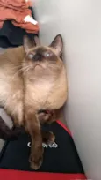 Bebê