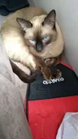 Bebê