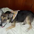 Barthô