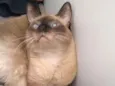 Bebê