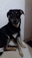 indefinido