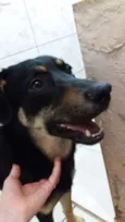 indefinido