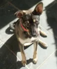 Nikita