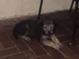 Zoe
