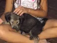 Zoe