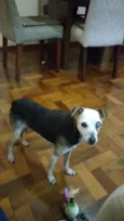 Véia