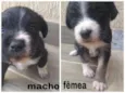 sem nome