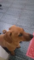 Spike 