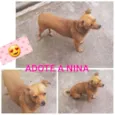 Nina