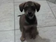 Olívia