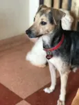 Didi