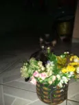 ?