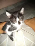 ?