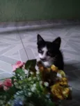 ?