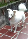 Lua
