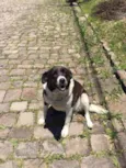 Laysla