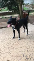 Spike