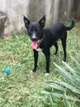 Spike