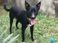 Spike