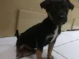 Pit