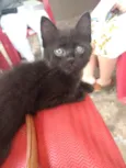 Lili