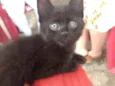 Lili