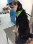 Lucky